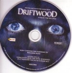 v_driftwooda.jpg