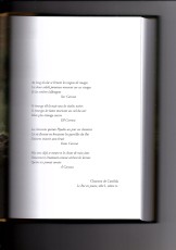 v_roienjaune_poeme.jpg